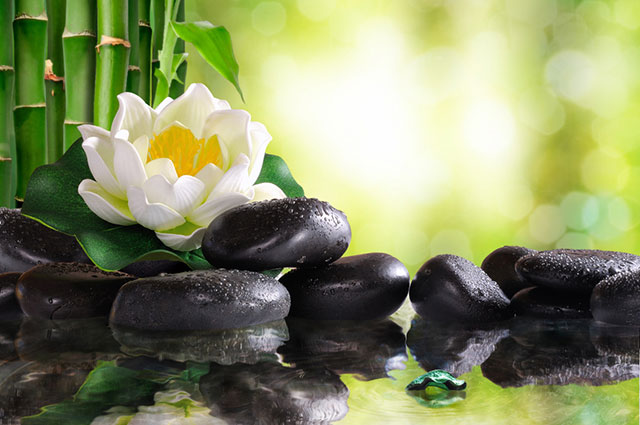 Mind Health Harmony