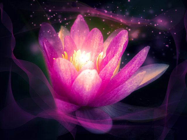 Bonnie's New Year's Eve Meditation - 31 Dec 2019